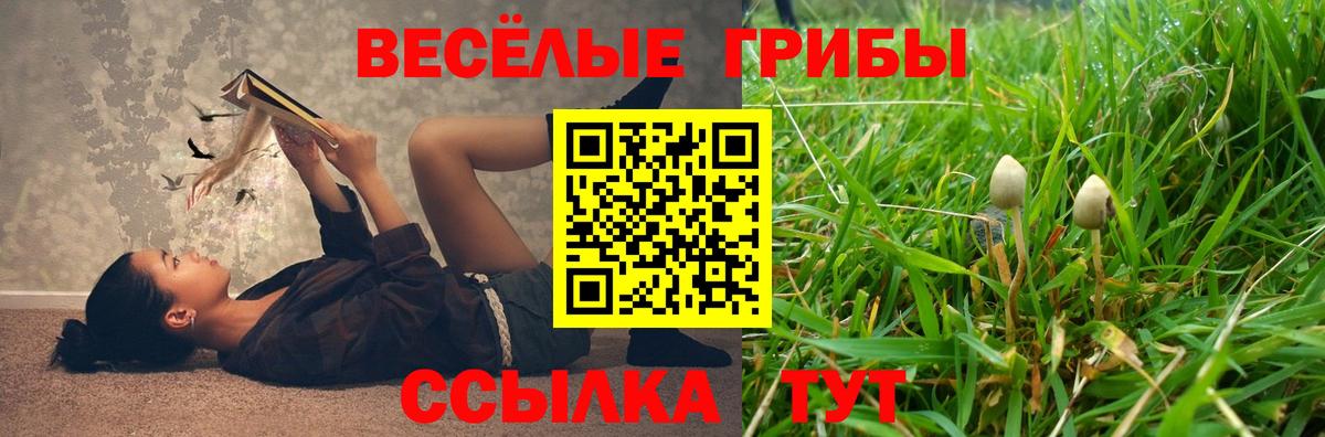 Псилоцибиновые грибы мухоморы  Вход с VPN  Амурск 